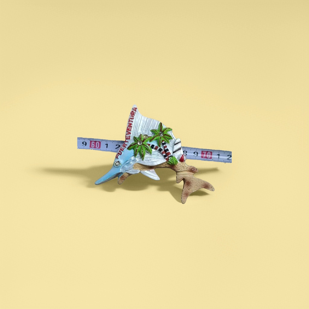 冰箱贴实物图