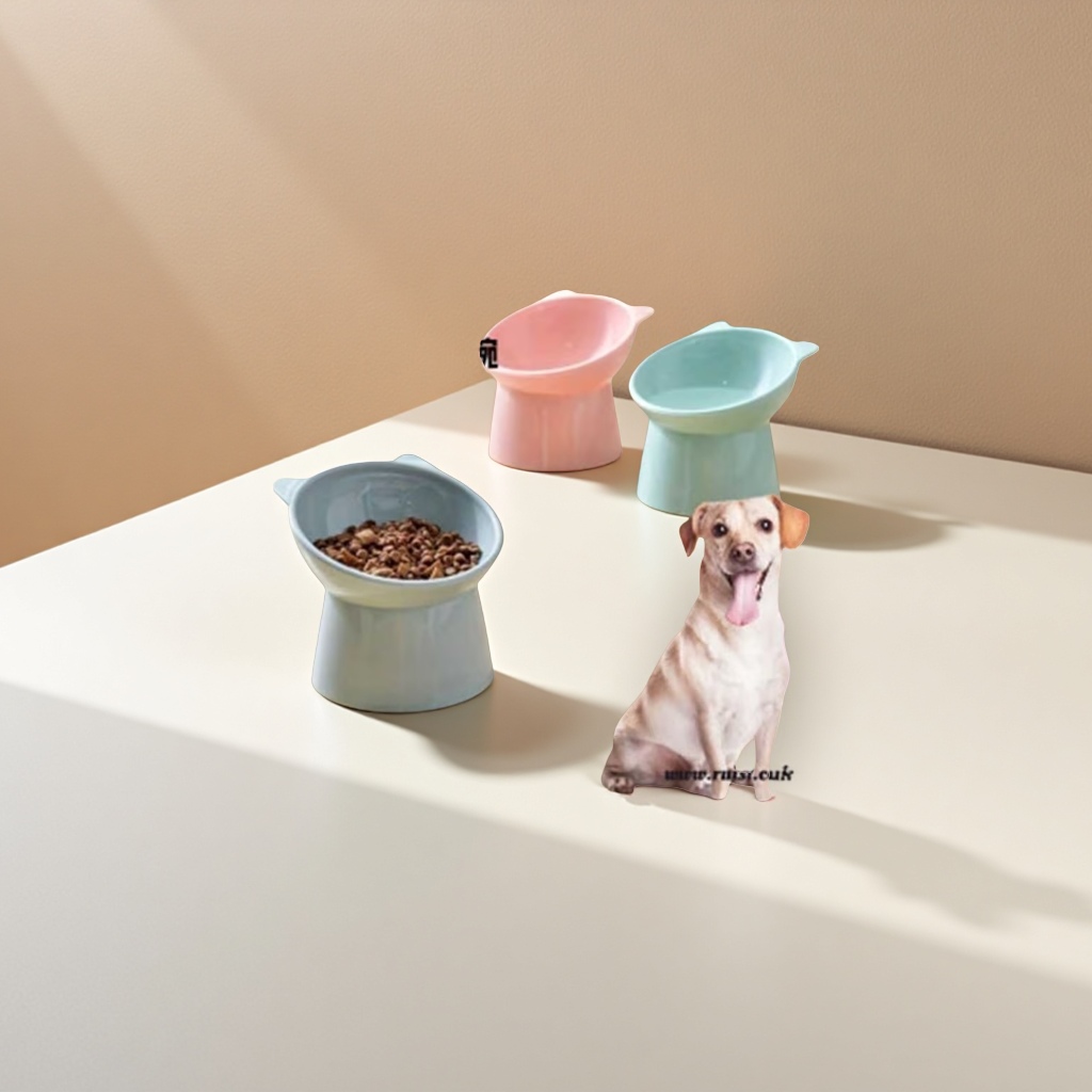 狗狗食具实物图