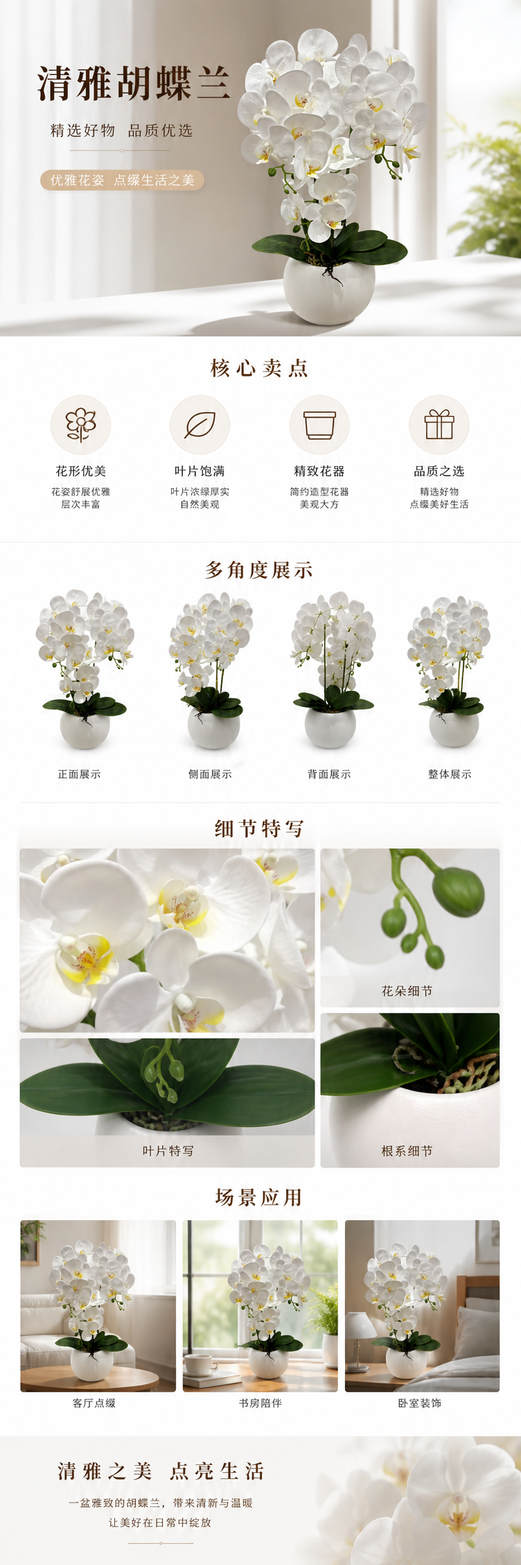 兰科植物白色蝴蝶兰盆栽室内观叶花卉客厅阳台装饰详情1