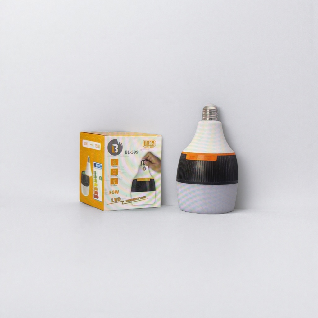白色应急灯家用充电式LED便携式停电照明灯