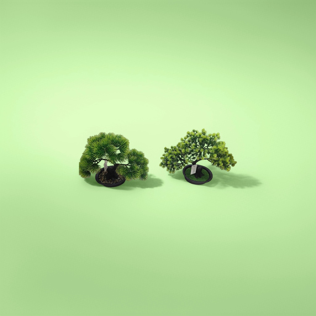 绿色盆栽 bonsai 小型室内观赏植物 禅意家居装饰
