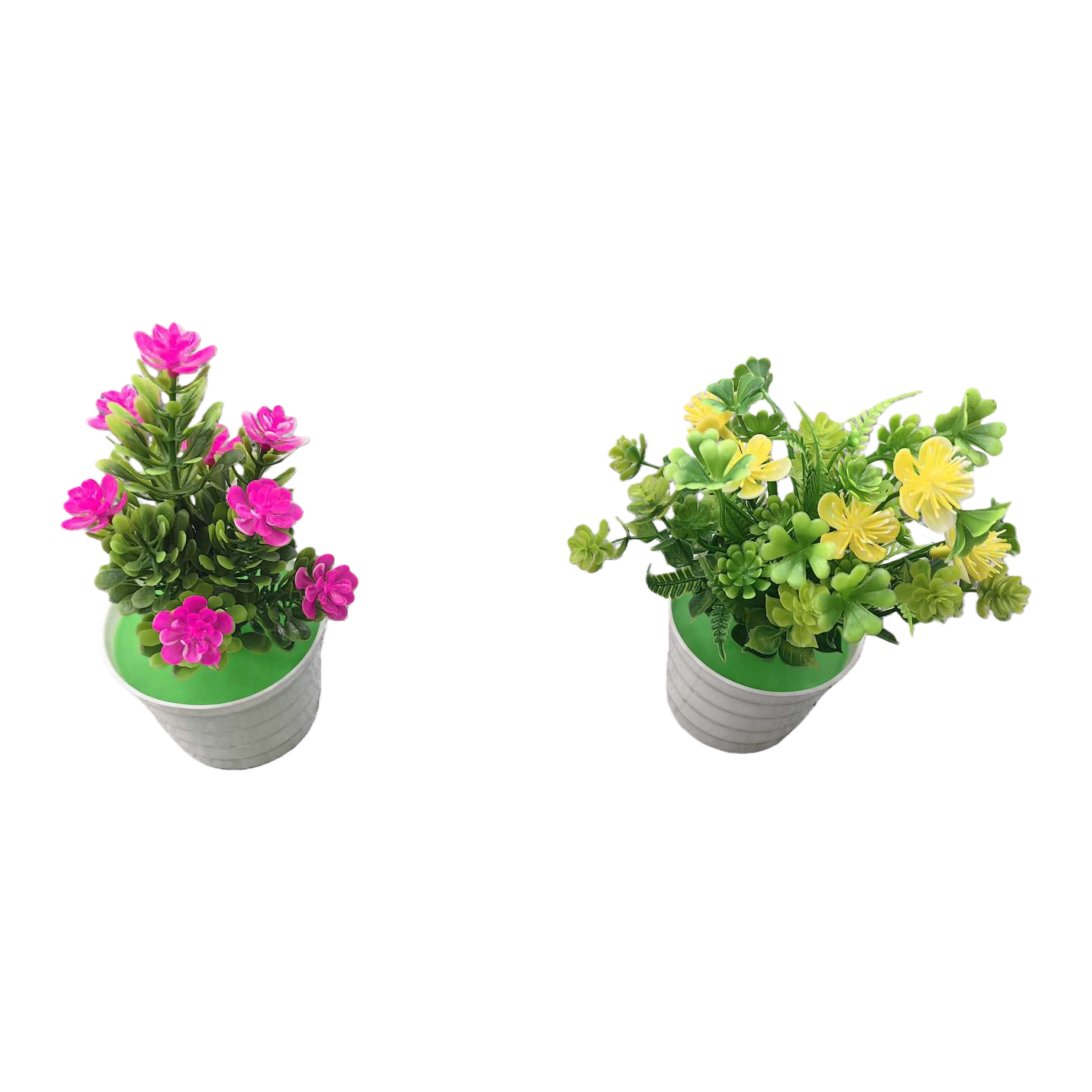 粉色花朵盆栽 黄色花朵盆栽 室内阳台观赏绿植组合白底实物图