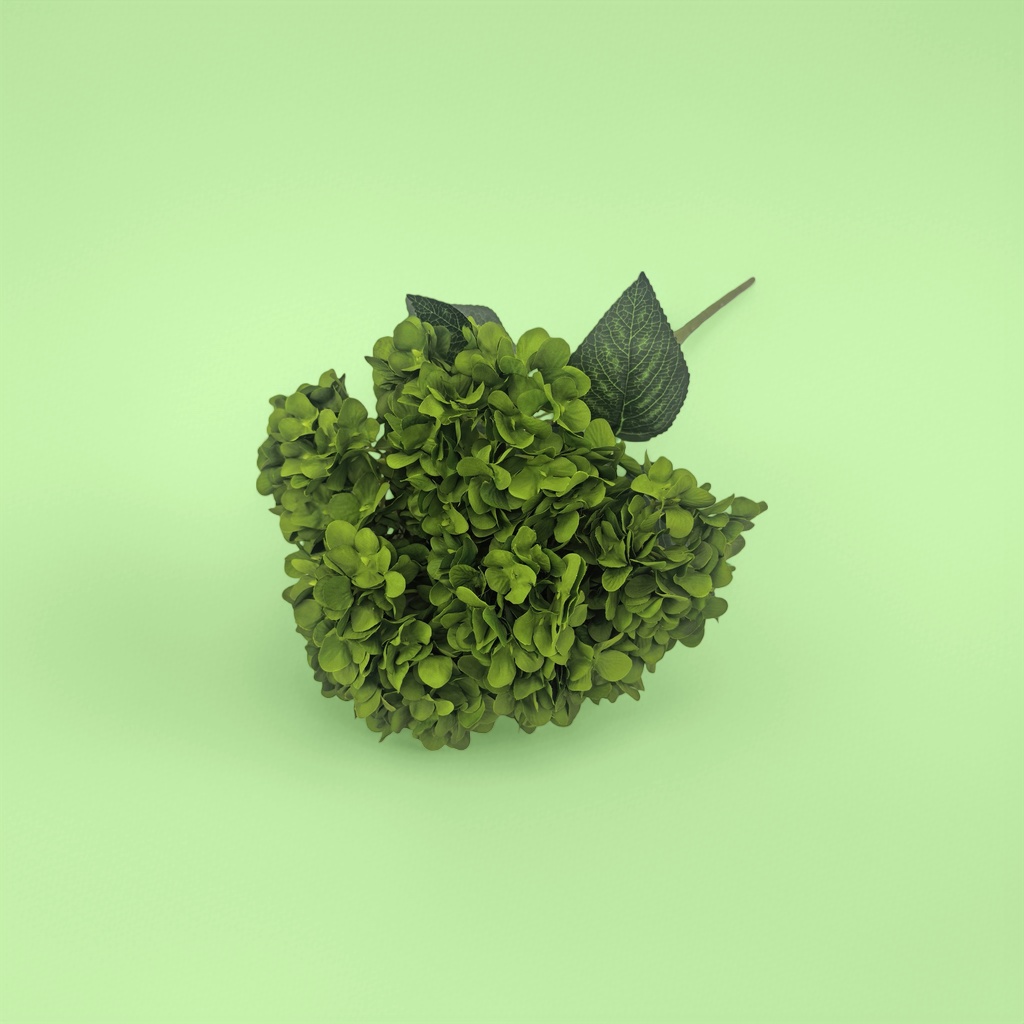 Green hydrangea bouquets, fresh flower delivery, birthday gifts, wedding decoration, living room decoration