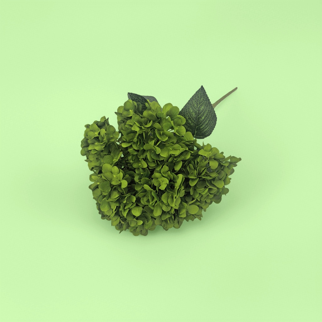 Green hydrangea bouquets, fresh flower delivery, birthday gifts, wedding decoration, living room decoration Application Scenario