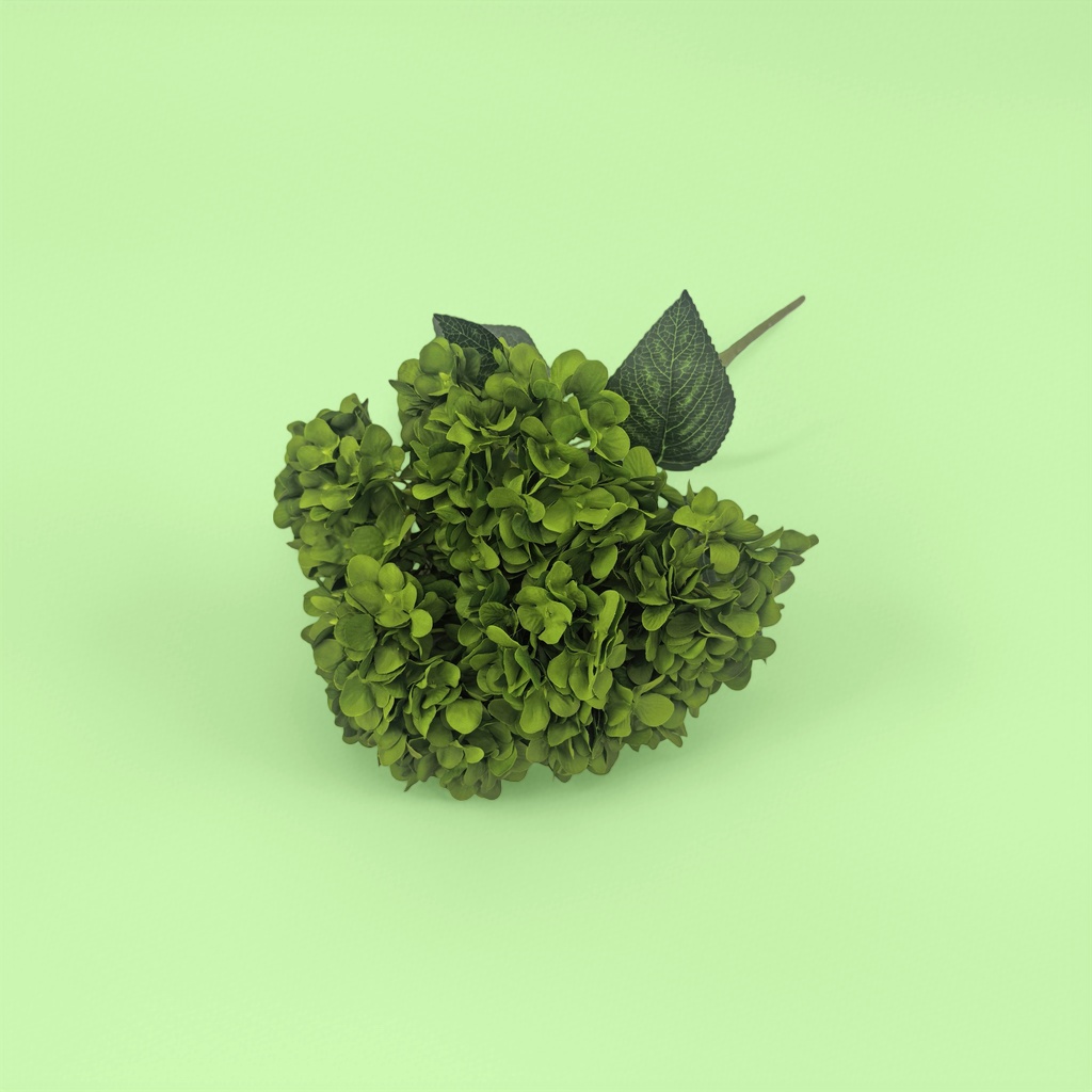 Green hydrangea bouquets, fresh flower delivery, birthday gifts, wedding decoration, living room decoration details Picture