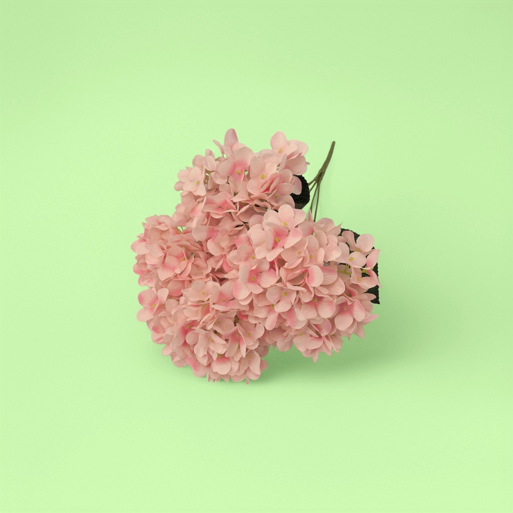 Pink hydrangea bouquets, fresh flower delivery, birthday gifts, Valentine's Day hand-held bouquets, wedding decorations details Picture