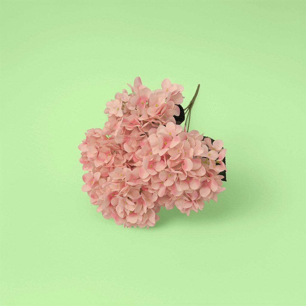 Pink hydrangea bouquets, fresh flower delivery, birthday gifts, Valentine's Day hand-held bouquets, wedding decorations Specification image