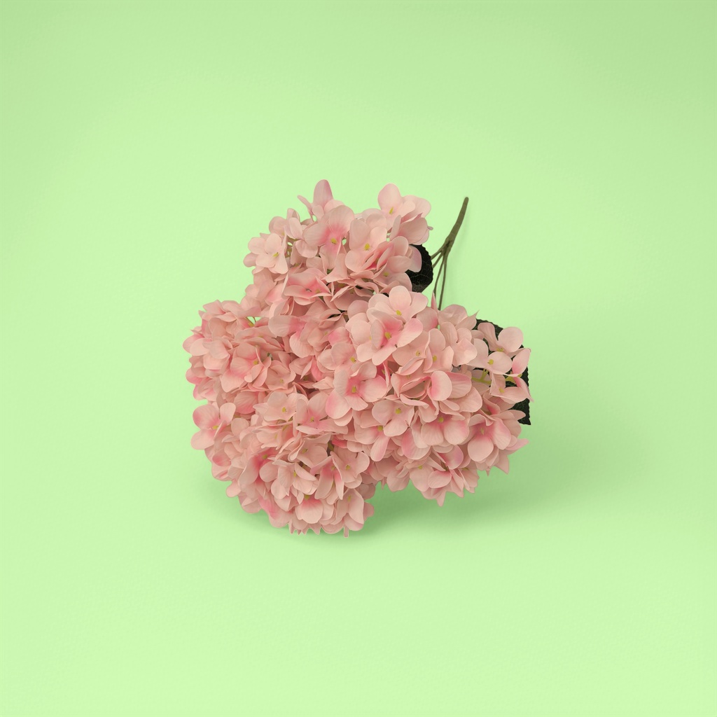 Pink hydrangea bouquets, fresh flower delivery, birthday gifts, Valentine's Day hand-held bouquets, wedding decorations Application Scenario