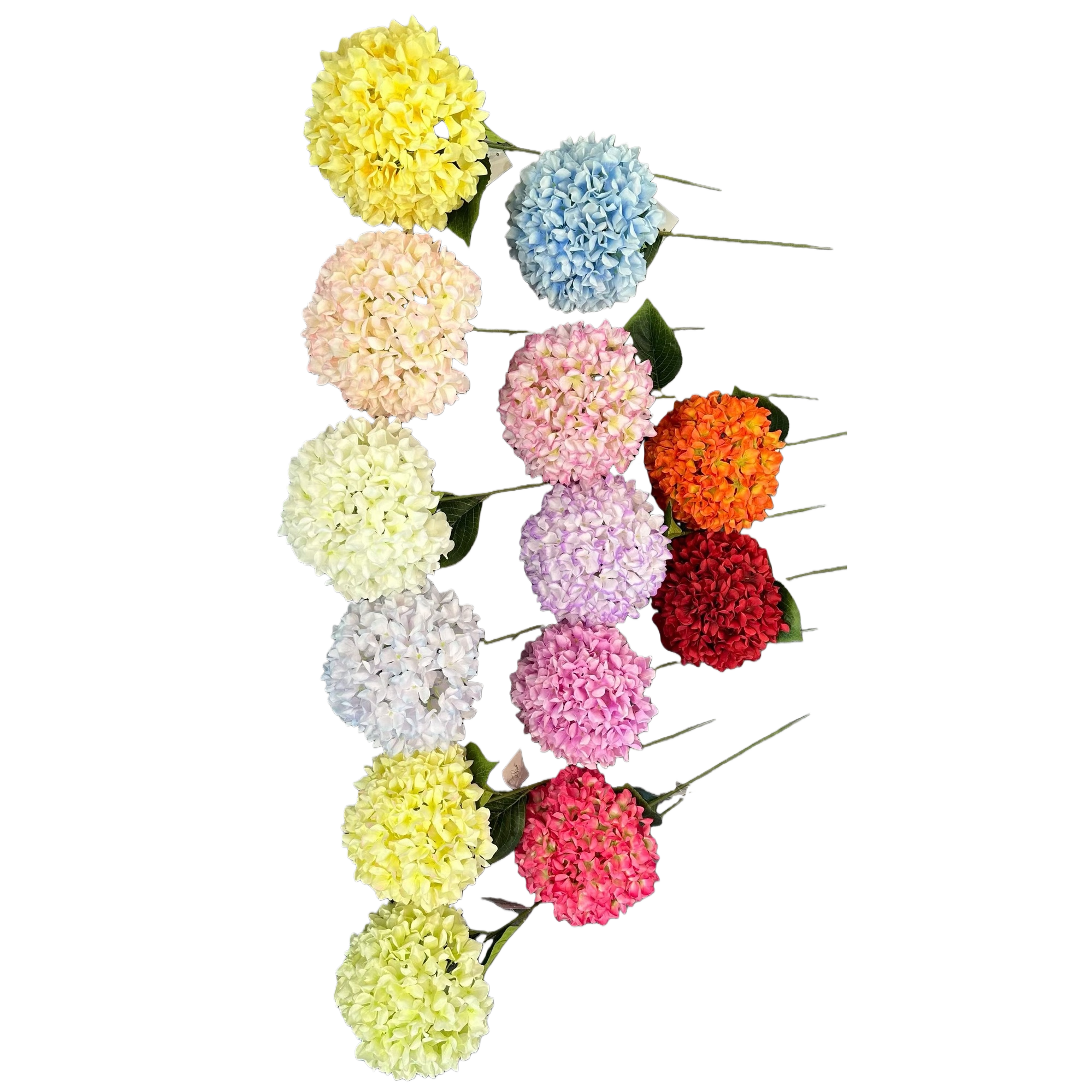 Colorful hydrangea bouquets, fresh flower delivery, birthday gifts, wedding decorations, artificial preserved flowers Item Picture
