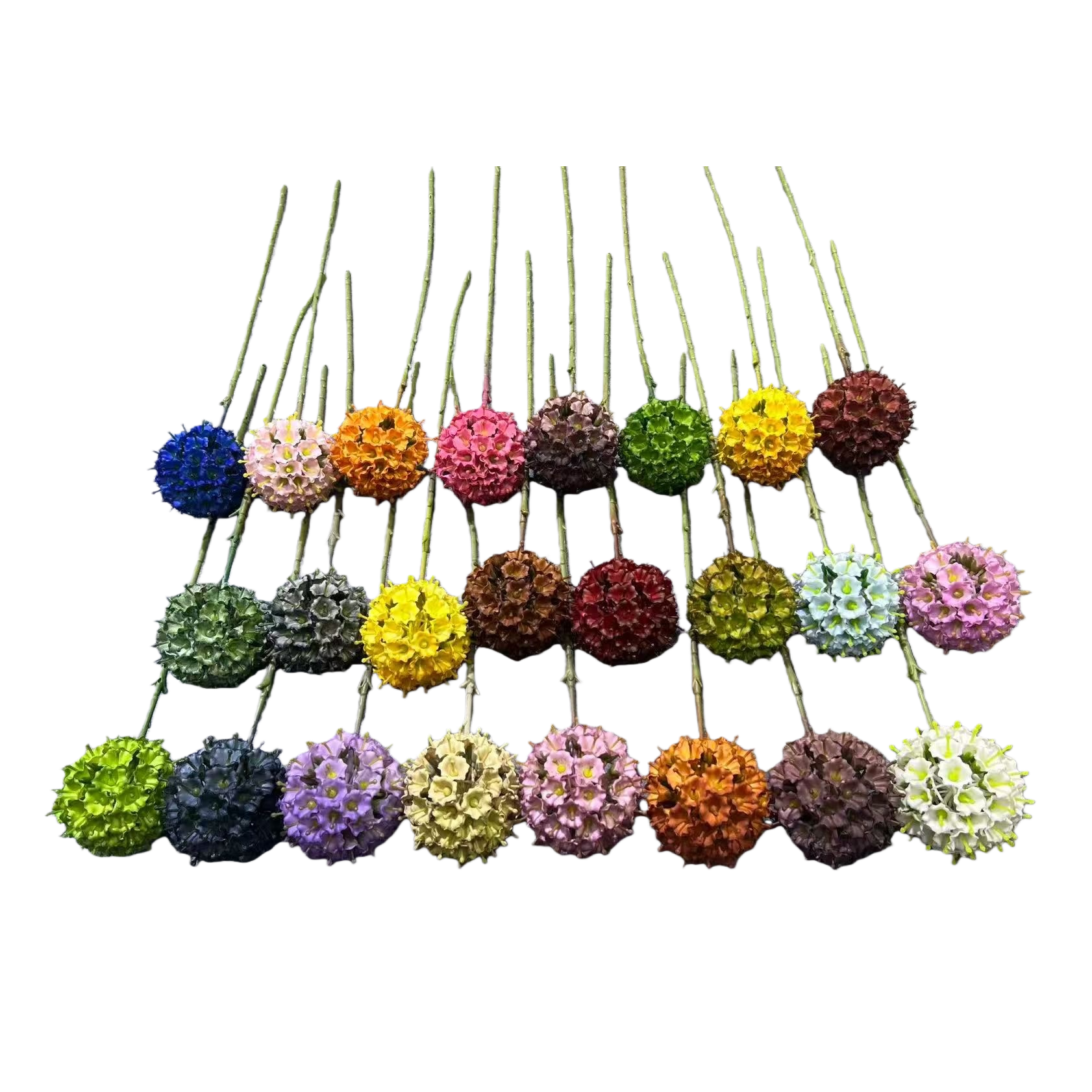 ان باقة الازهار كروية ملونة مزخرفة بزهور الابدية Item Picture