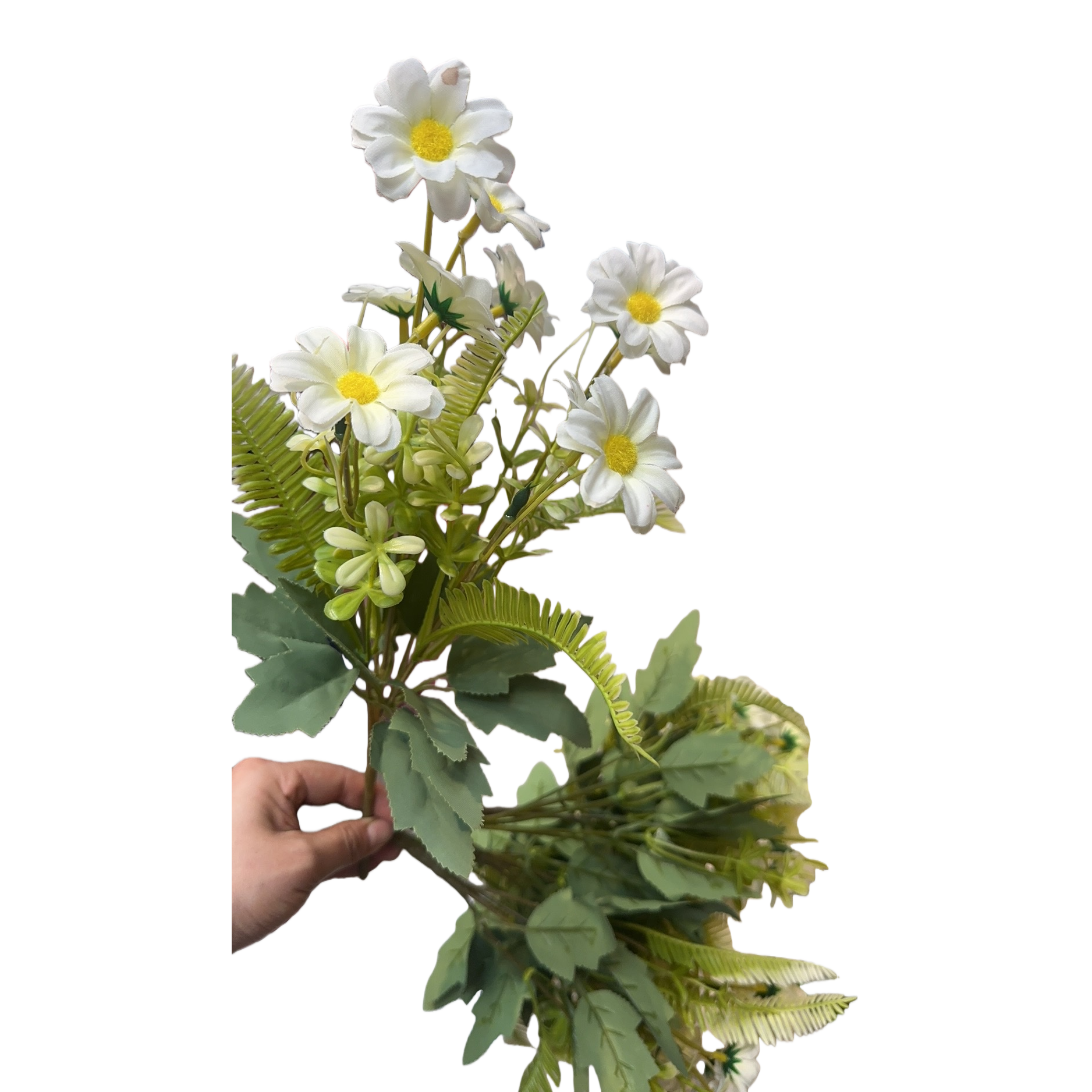 أزهار الأقحوان البيضاء مزخرفة بحفل زفاف عيد ميلاد Item Picture