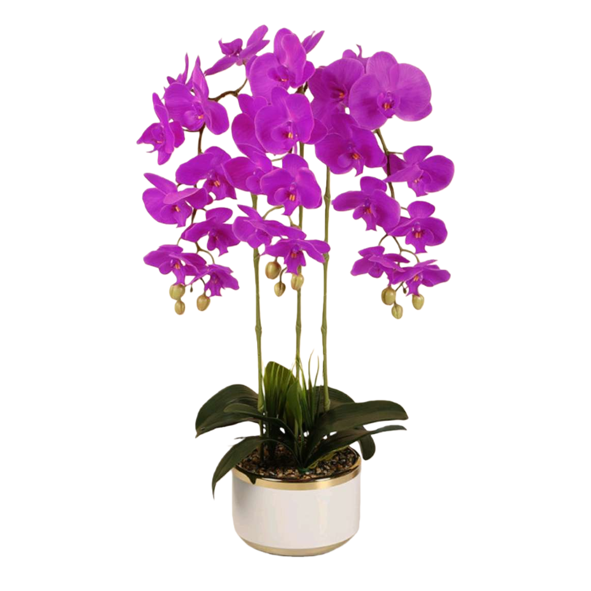 紫色蝴蝶兰盆栽 室内观花植物 仿真花艺装饰阳台客厅