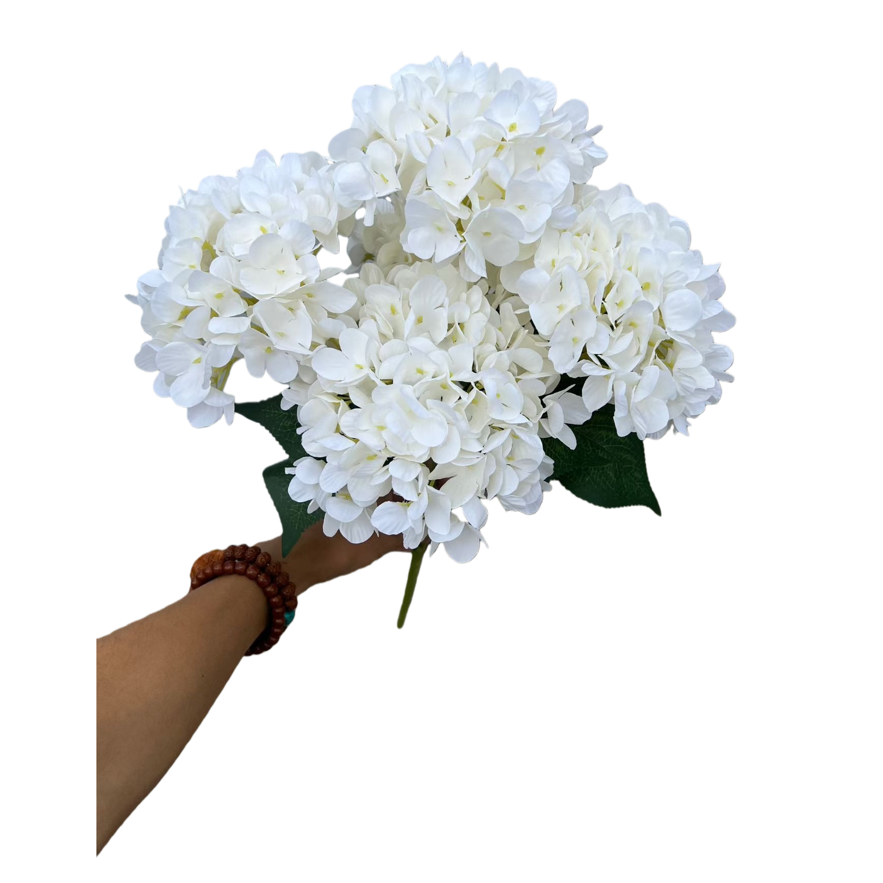 الزهور الزهور البيضاء، هدايا عيد الميلاد، زينة البيت Item Picture