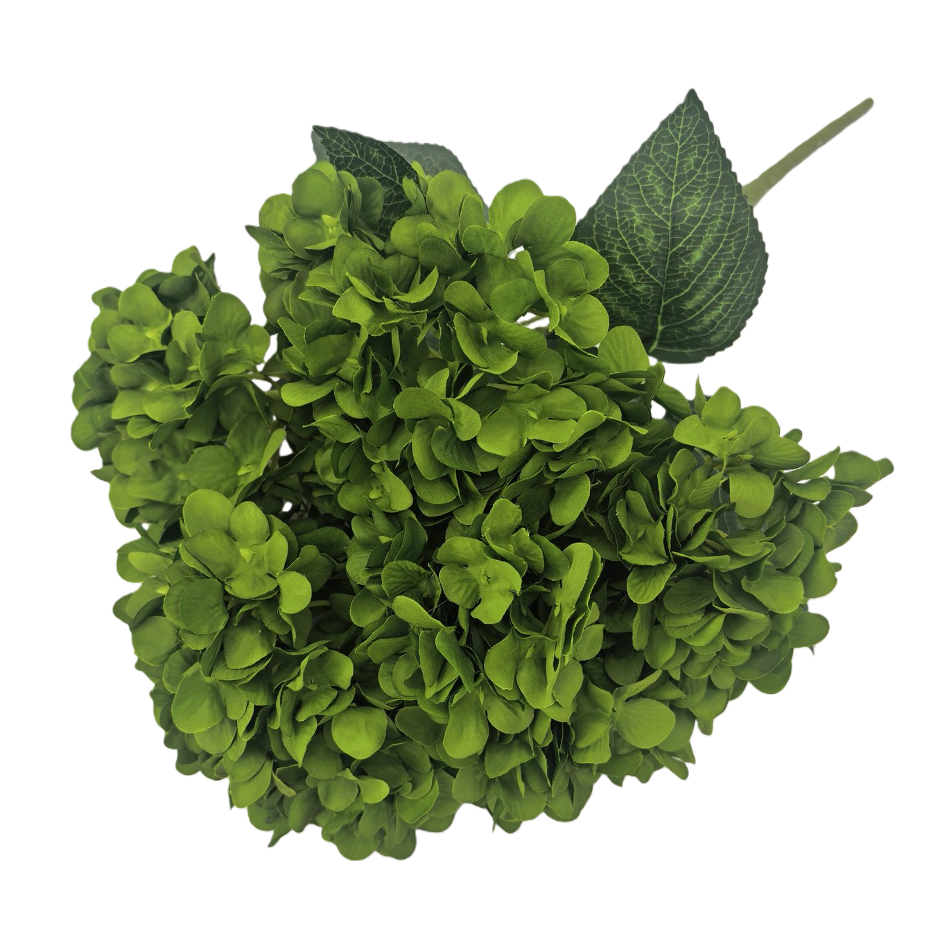 Green hydrangea bouquets, fresh flower delivery, birthday gifts, wedding decoration, living room decoration Item Picture