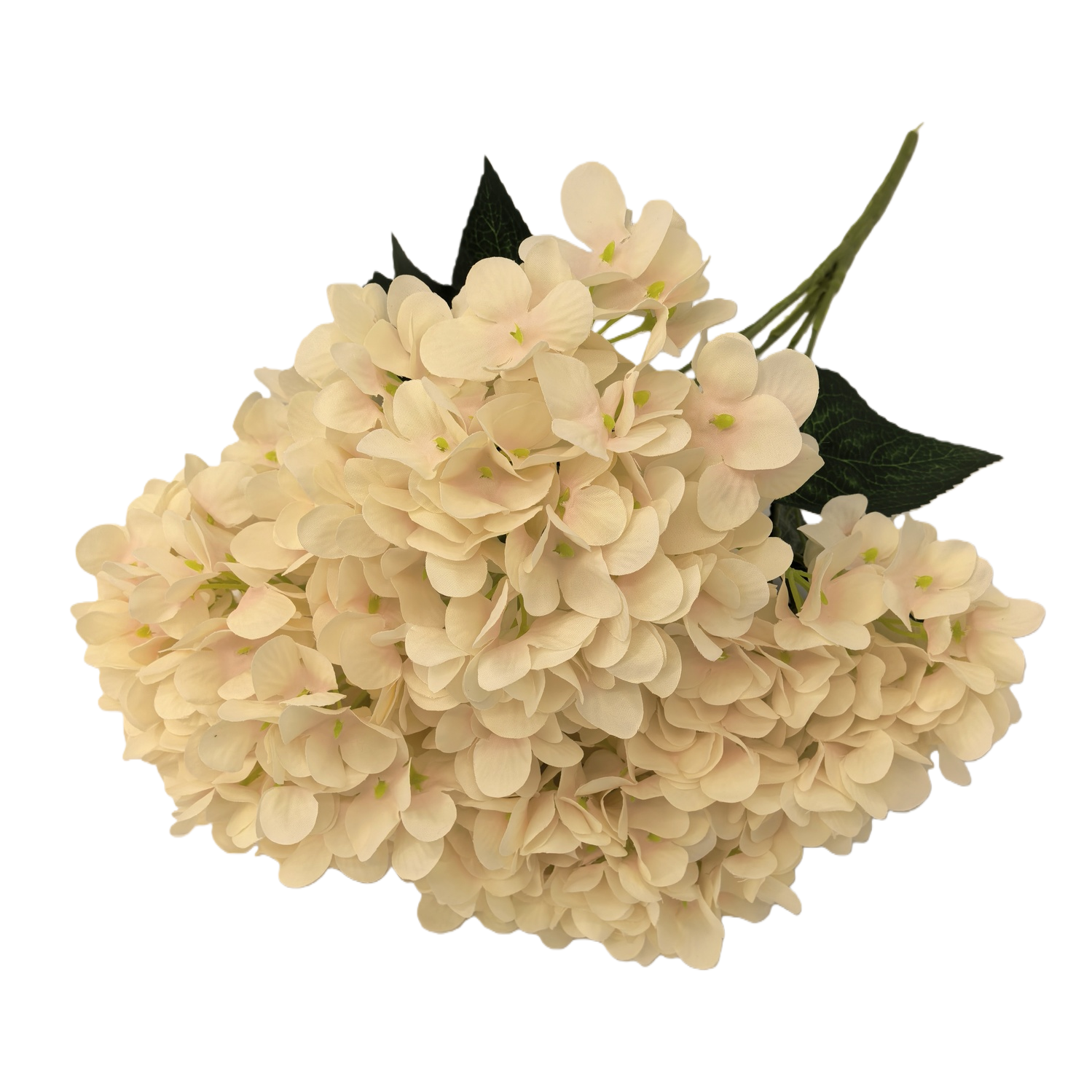 أزهار مطرزة بيضاء مزخرفة بأثاث غرفة النوم Item Picture