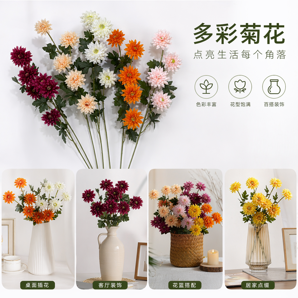 7叉菊花单枝 鲜花包邮同城速达自然绽放