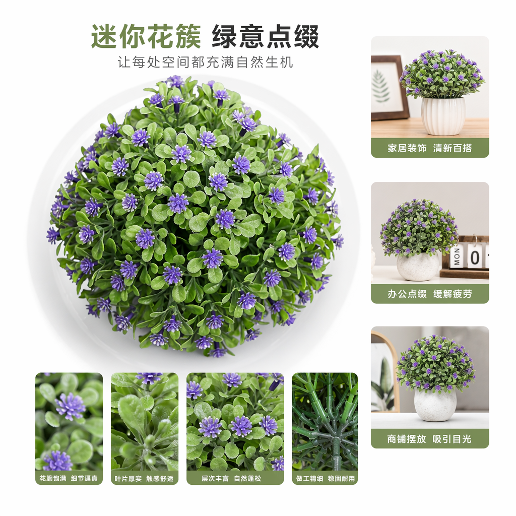 紫色小花绿植盆栽室内观叶植物阳台装饰小型花卉