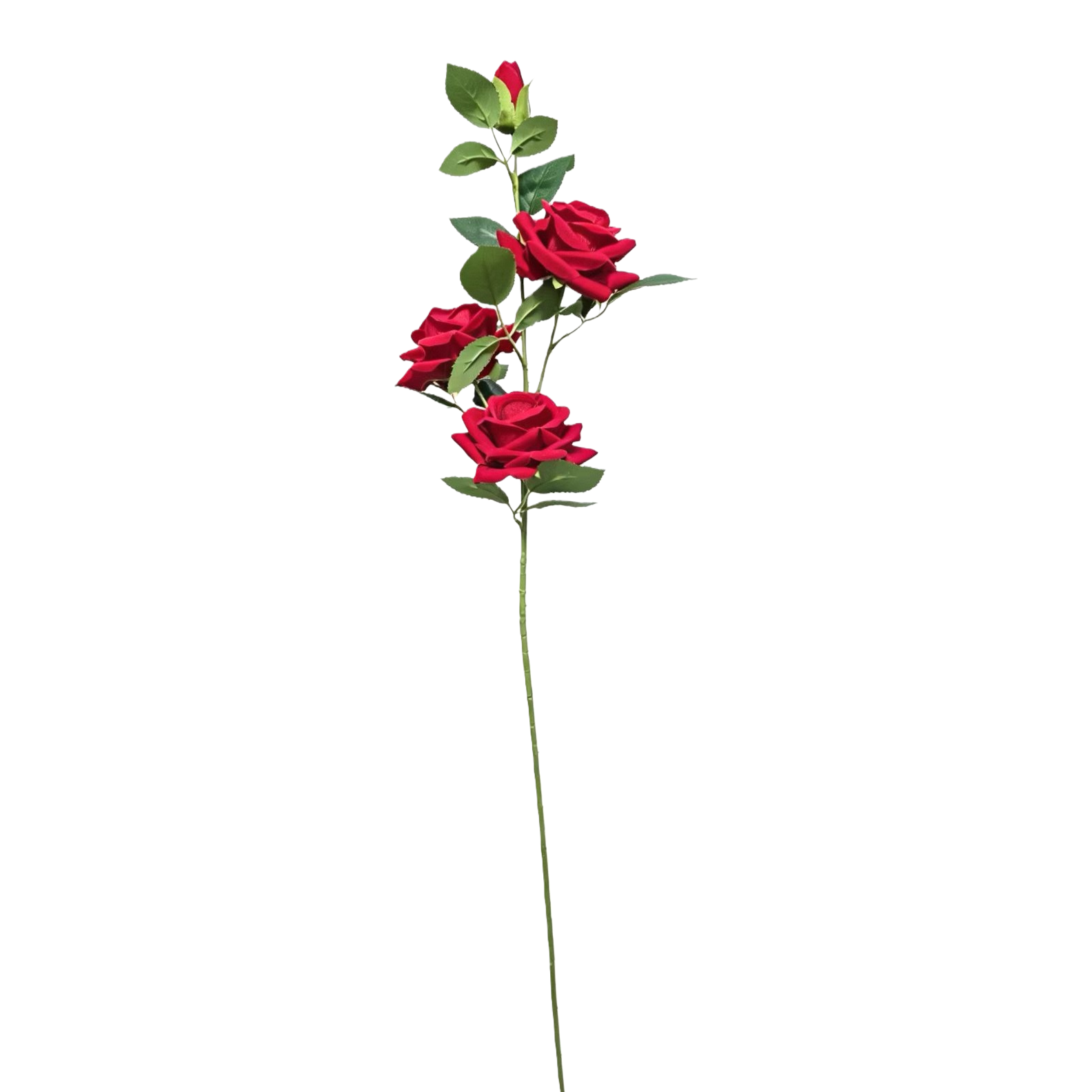 Fresh red rose branches are delivered to your home with free shipping in a 10-piece package Item Picture