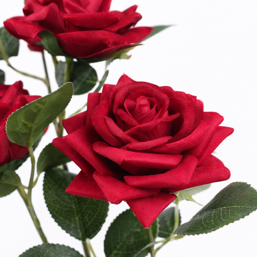 Fresh red rose branches are delivered to your home with free shipping in a 10-piece package Application Scenario