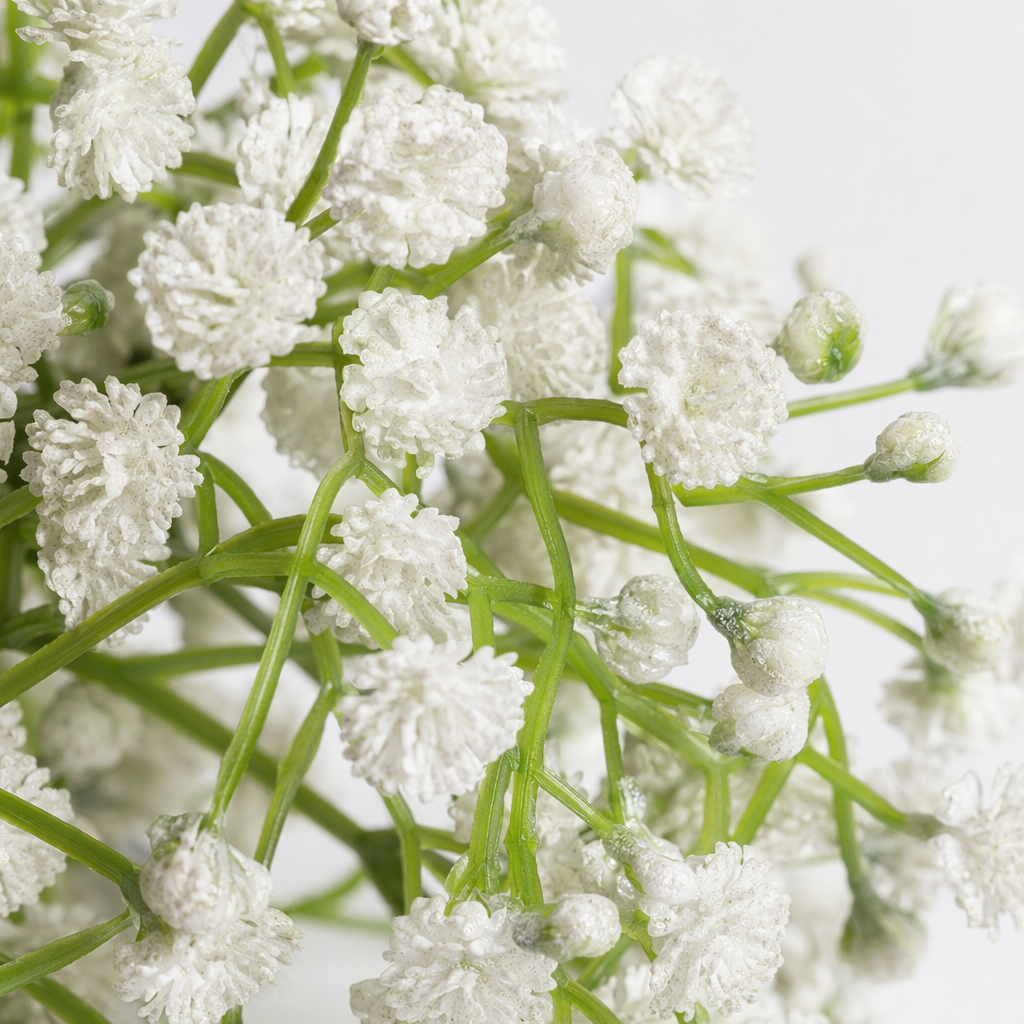 White baby's breath flower bouquet, free shipping, fresh table decoration, wedding hand-held Application Scenario