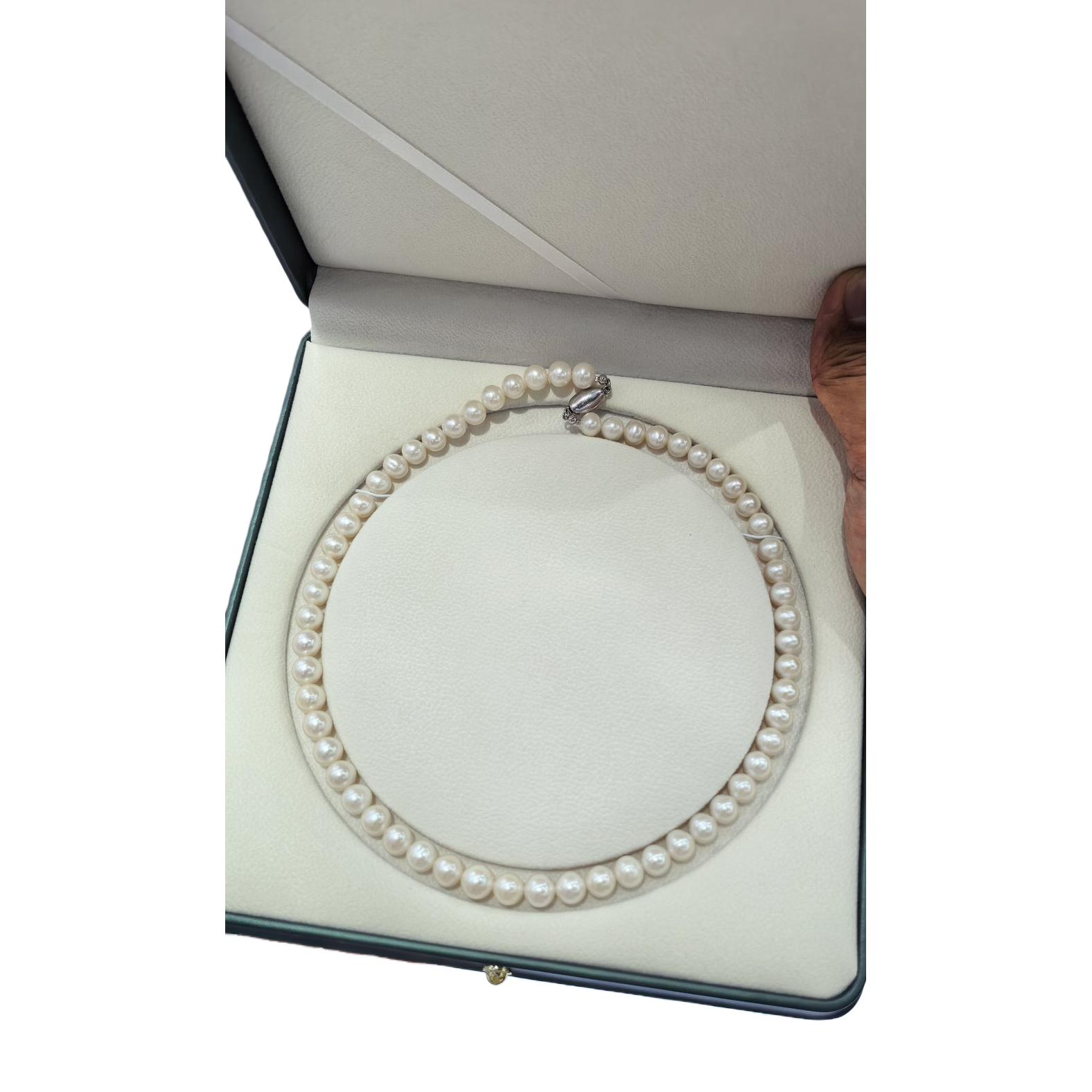 عظم الترقوة اللؤلؤ الطبيعية للمياه العذبة، من نوع اللؤلؤ الأبيض Item Picture