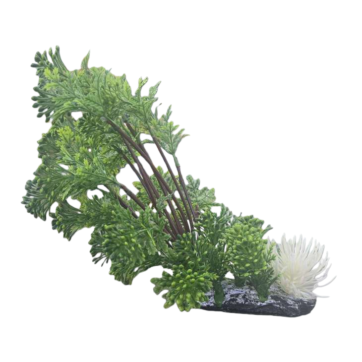لوازم المناظر الطبيعية لحوض الأسماك في غرف المعيشة وغرف المعيشة Item Picture