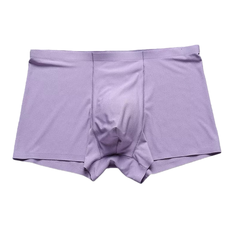 Purple mesh breathable underwear for men, pure cotton, comfortable and close-fitting Item Picture