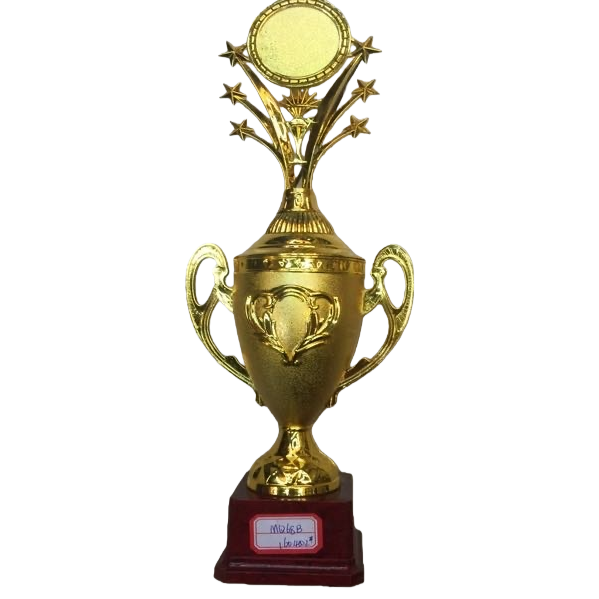 Customized golden trophies, celebration award gifts, metal-textured prizes that can be engraved Item Picture