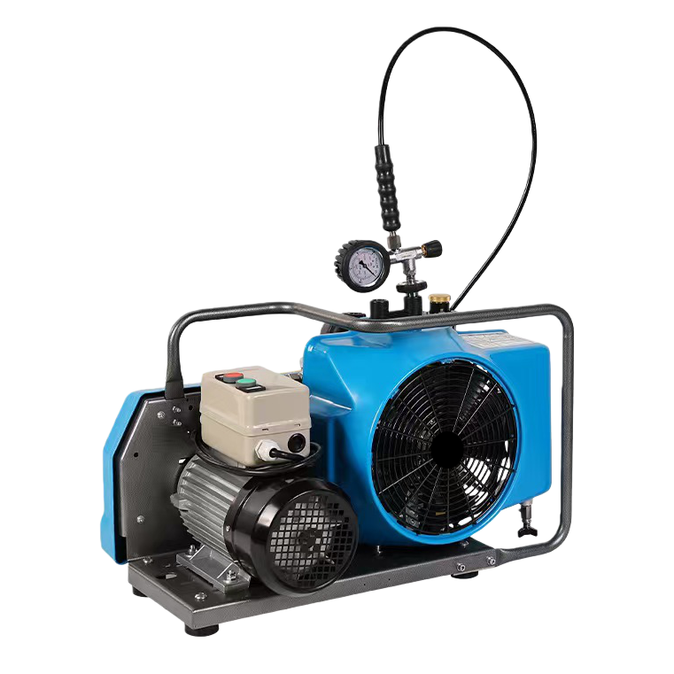 Blue air compressor household silent small oil-free 220V 3L air storage tank Item Picture