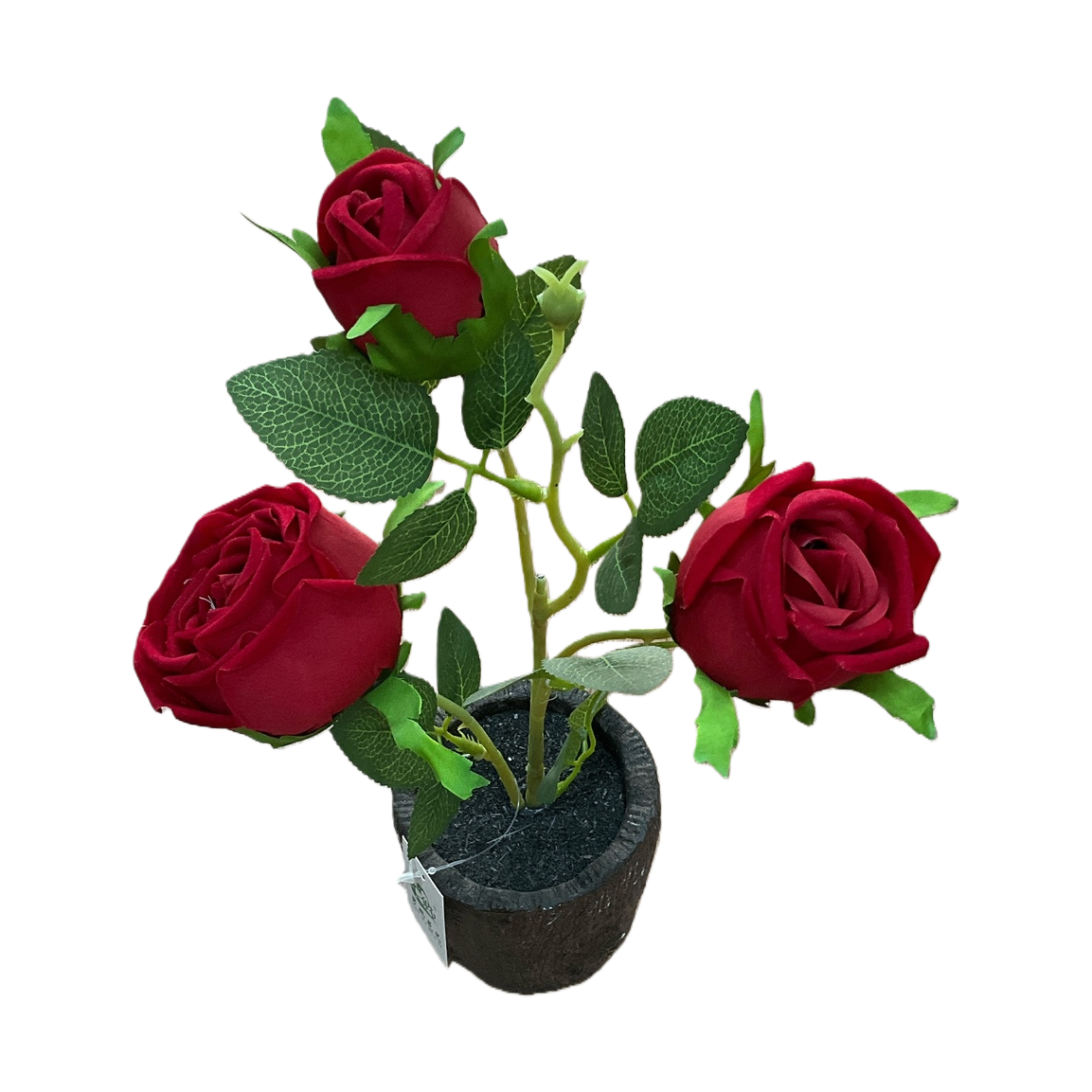 Red rose potted plants are indoor balcony ornamental flowers that can bloom with flower buds Item Picture