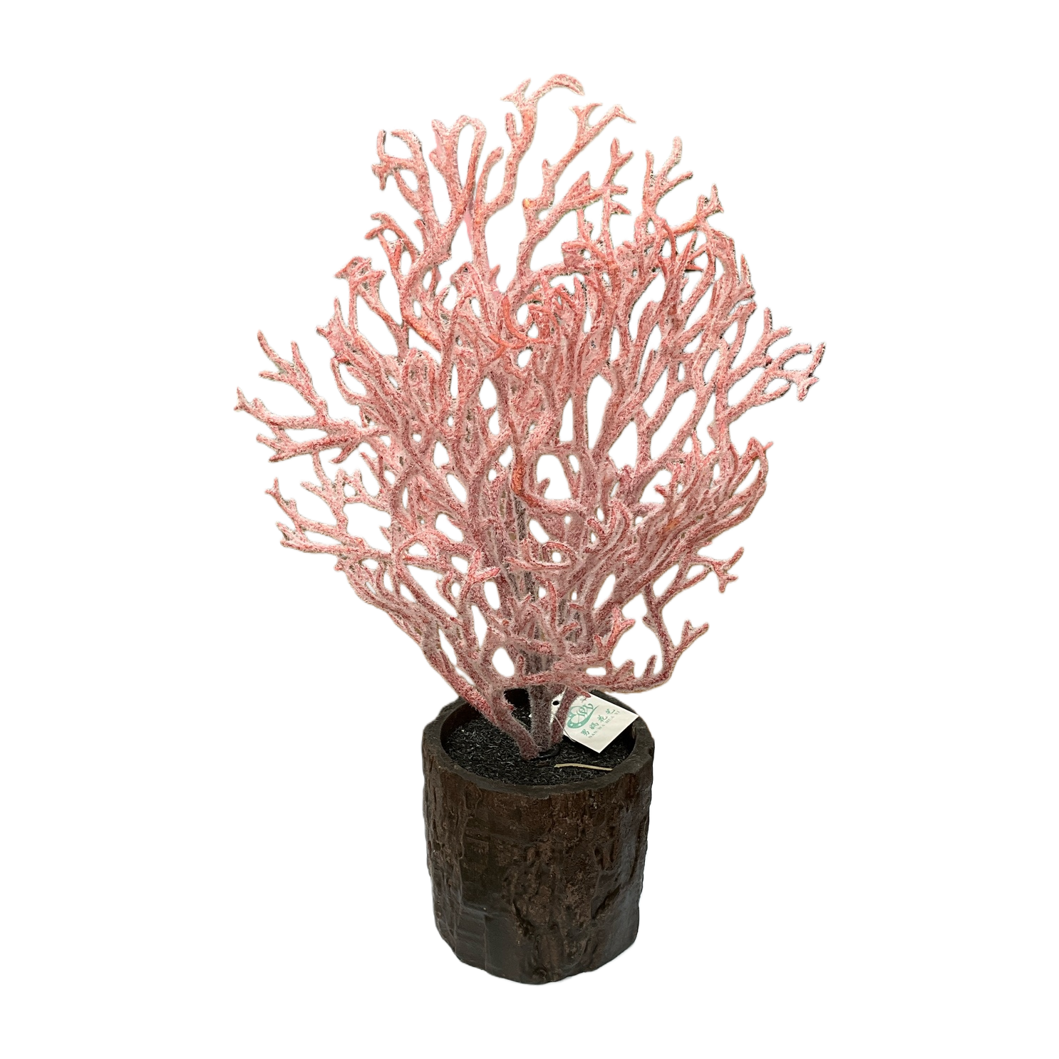 Pink coral-shaped decorative plants, dark tree stump flowerpots, and white cubic display stands Item Picture