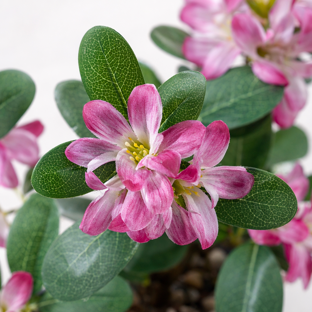 Pink flower and green leaf potted plants for indoor decoration, small living room and balcony green plants, artificial green plants Application Scenario