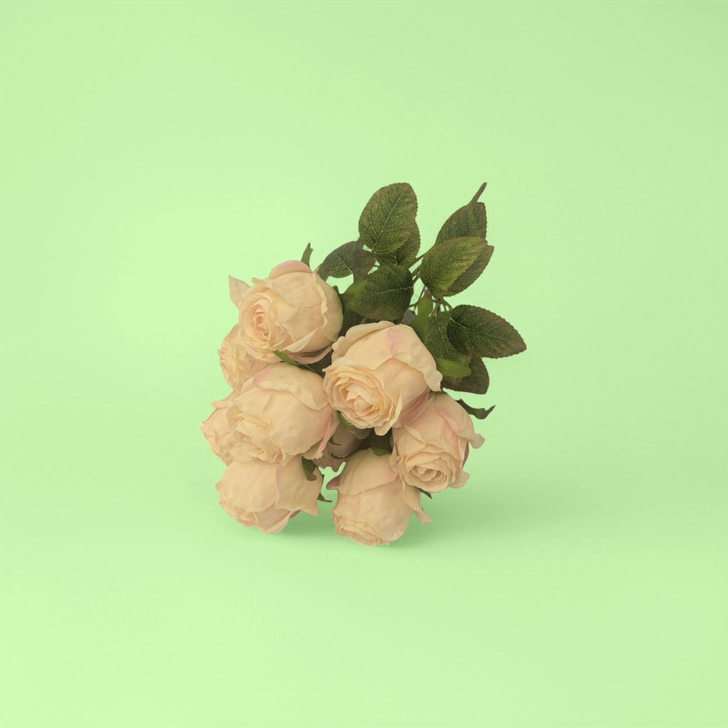Off-white rose bouquets are delivered for birthday, proposal and wedding decoration