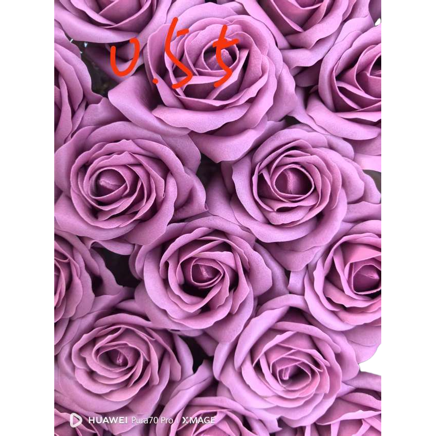 紫色玫瑰花束99朵情人节生日送女友鲜花礼盒包邮 Item Picture