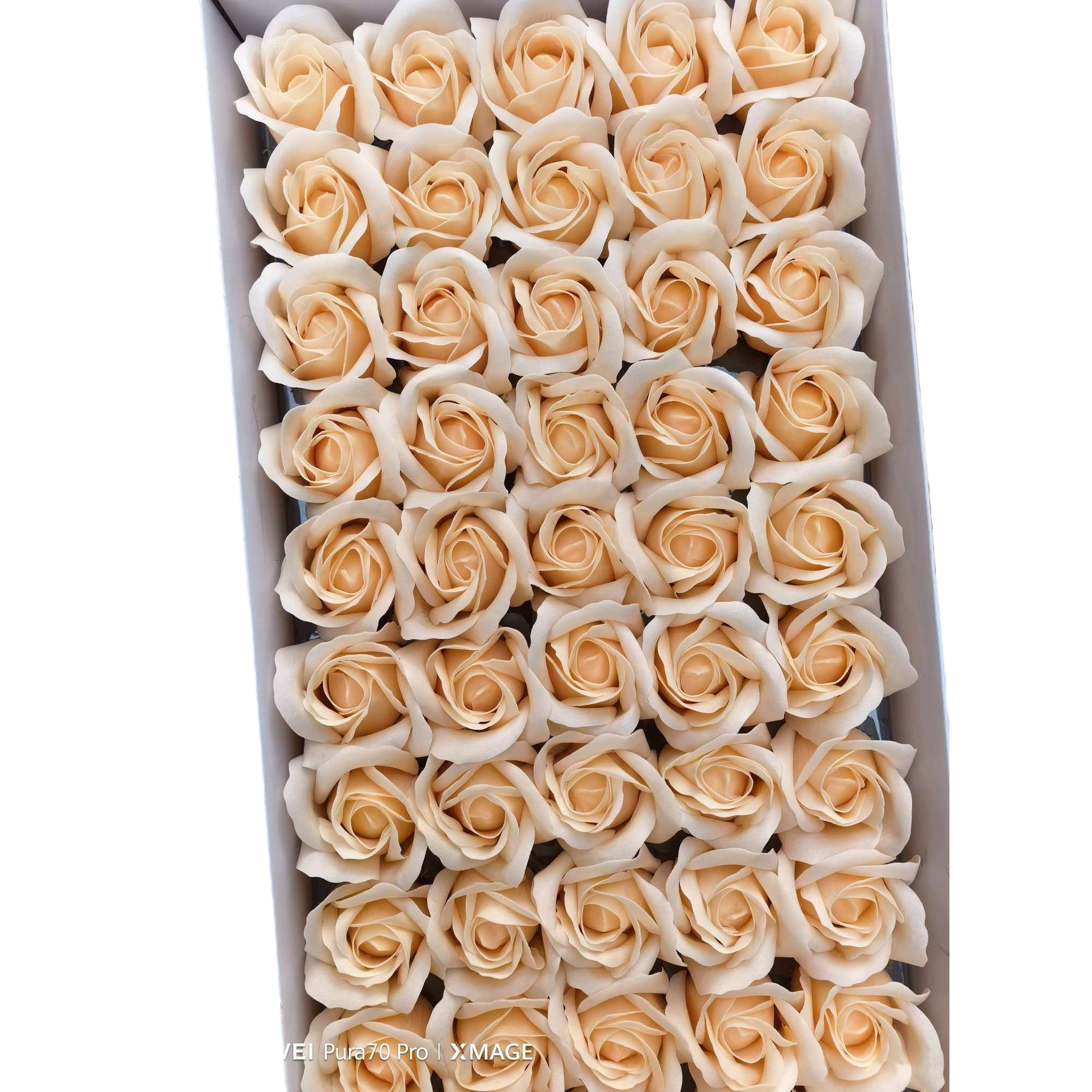 米色玫瑰花束鲜花配送生日求婚结婚装饰用 Item Picture