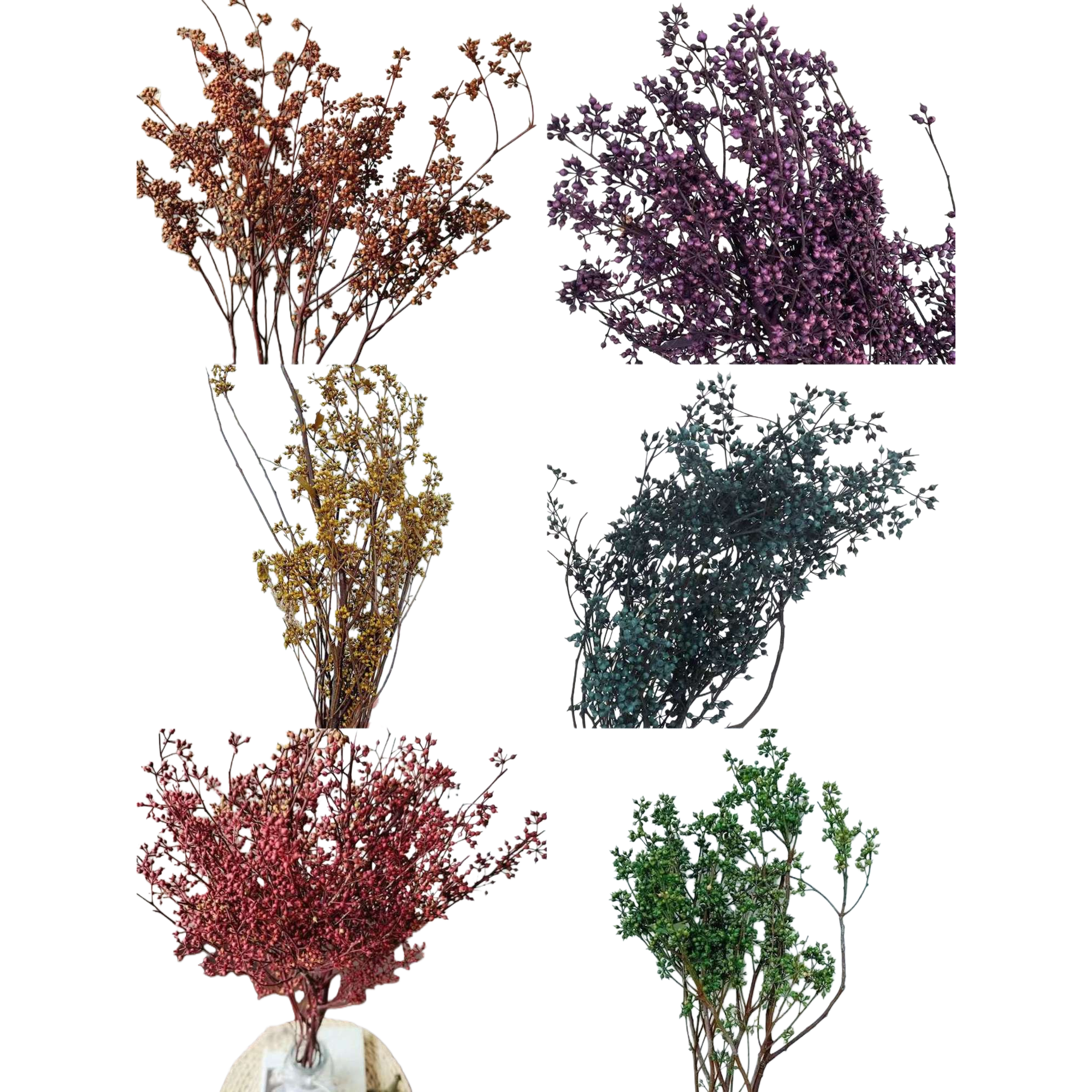六种颜色干花束手工扎染永生花装饰摆件白底实物图