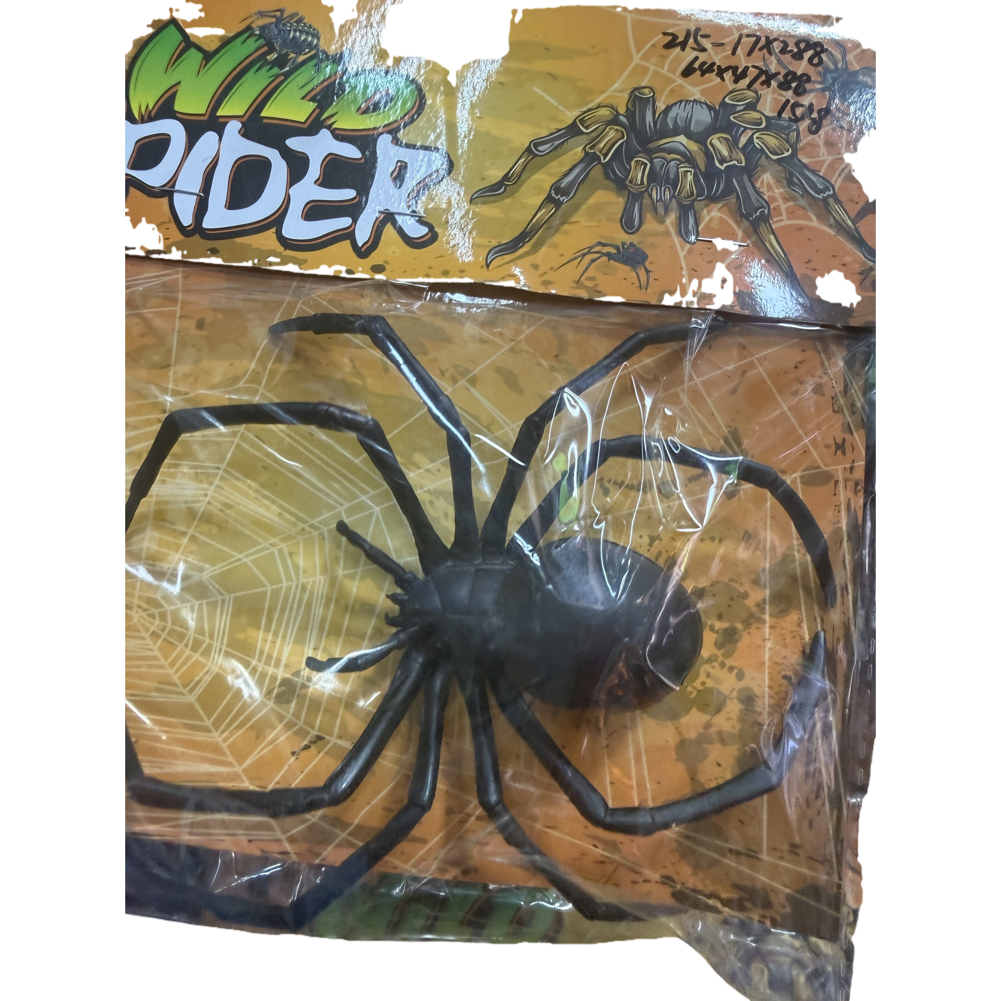 العناكب البلاستيكية السوداء مزخرفة بأدوات عيد القديسين Item Picture