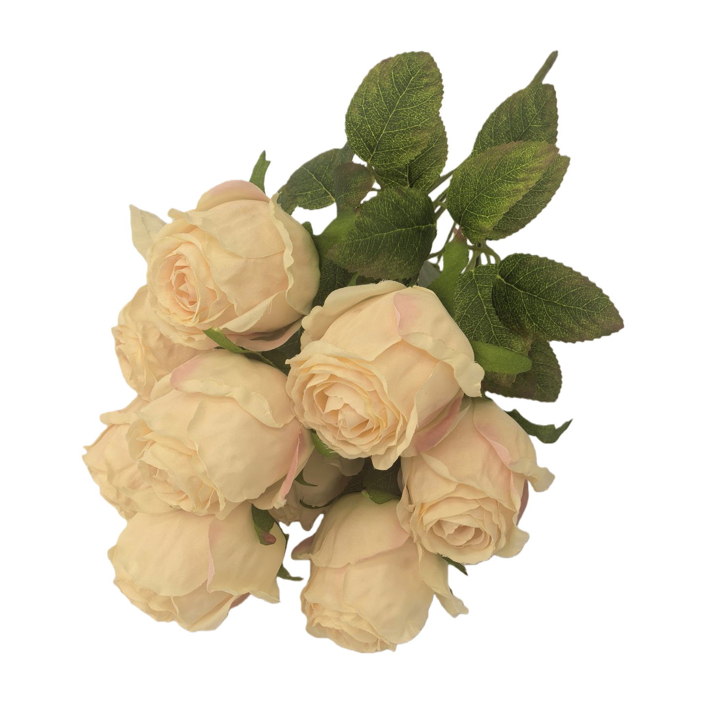 أزهار الزهور البيضاء من أجل عيد ميلاد الزواج Item Picture