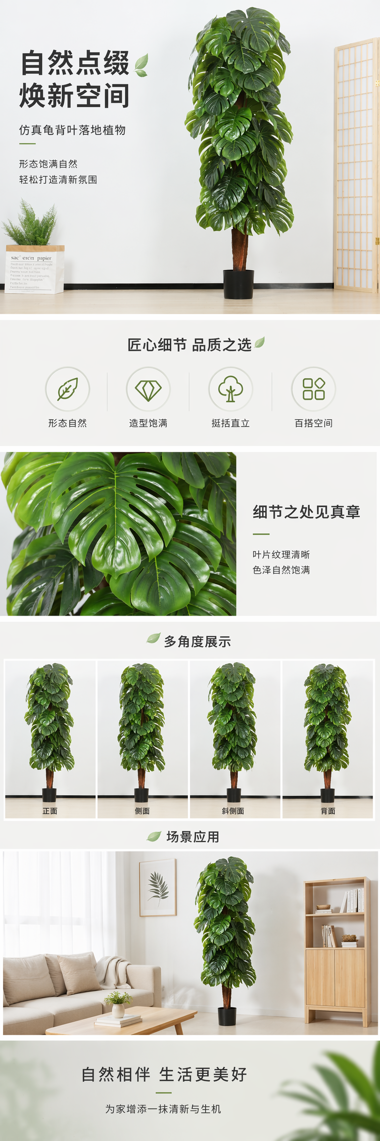 绿色龟背竹盆栽 真实绿植花卉园艺用品非仿真详情1