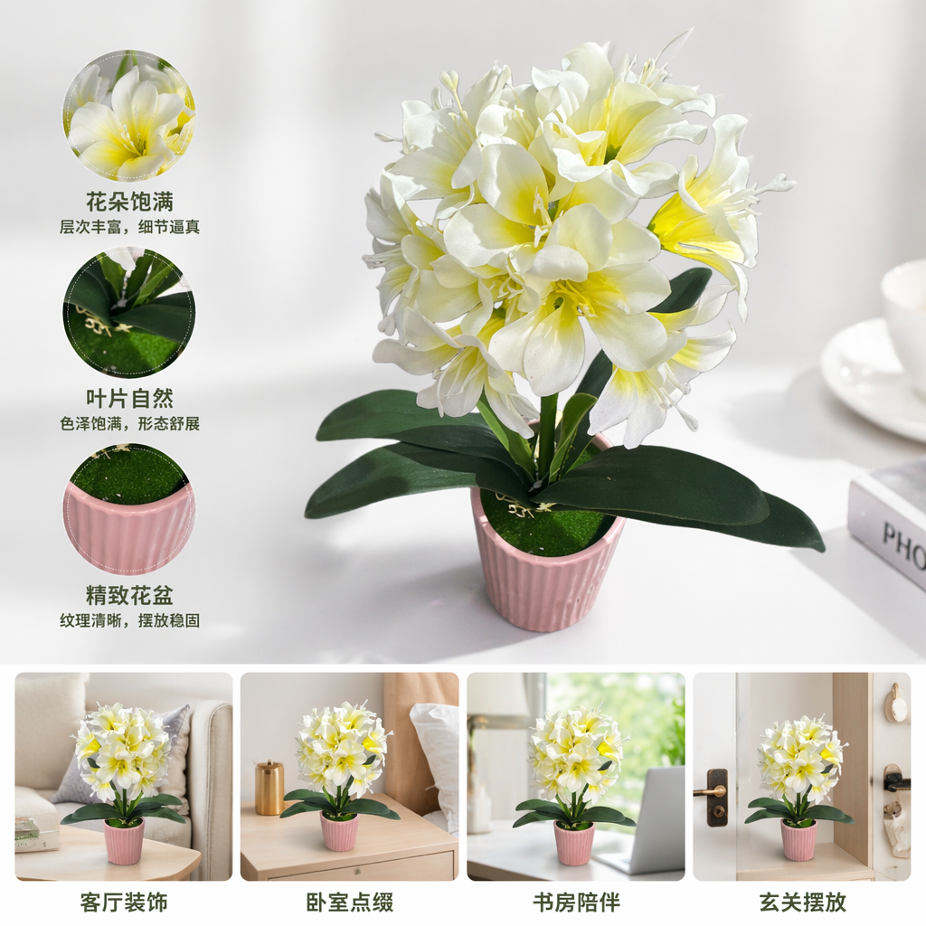 白色黄心花朵盆栽 室内阳台装饰绿植花卉盆栽可摆办公桌
