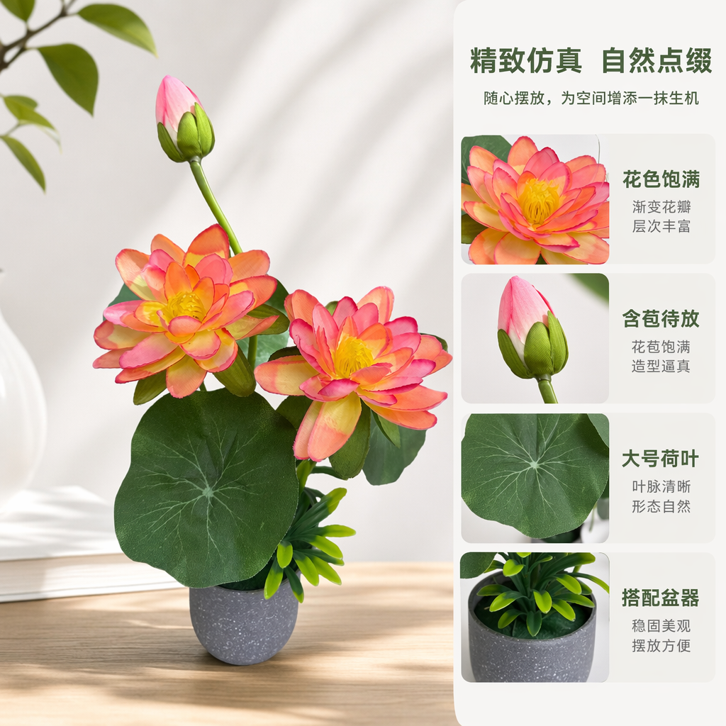 粉色橙色莲花盆栽 室内装饰花卉绿植客厅阳台摆件