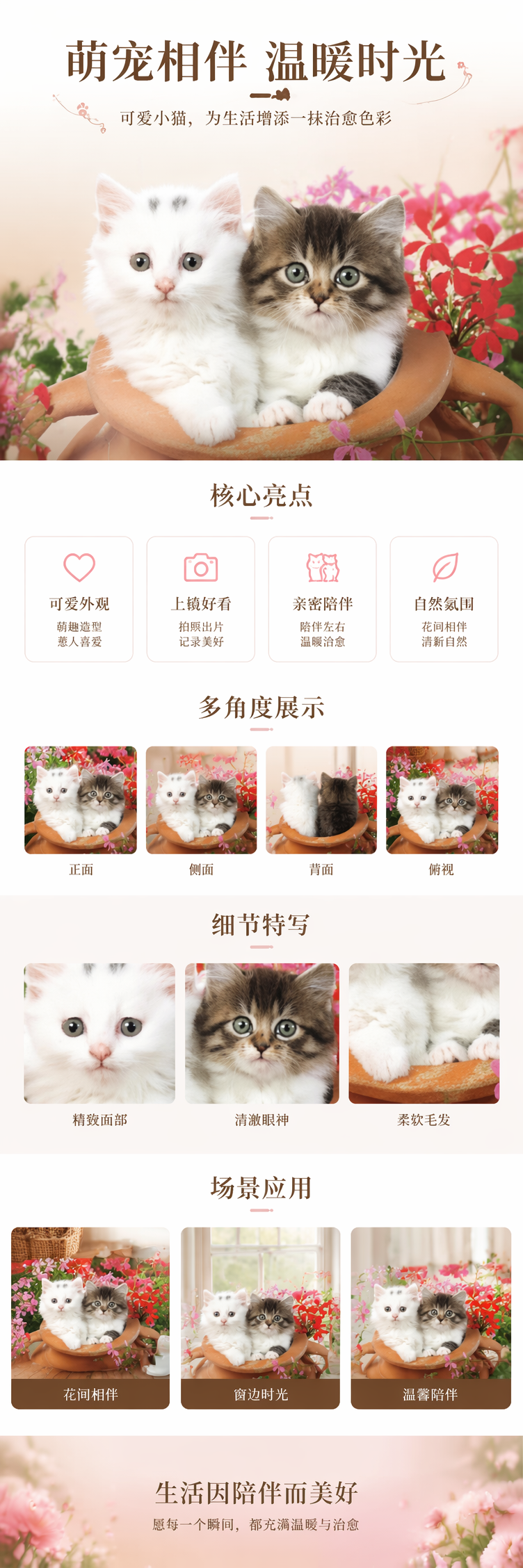白色与虎斑猫幼崽萌宠写真摄影背景布 150x200cm详情1