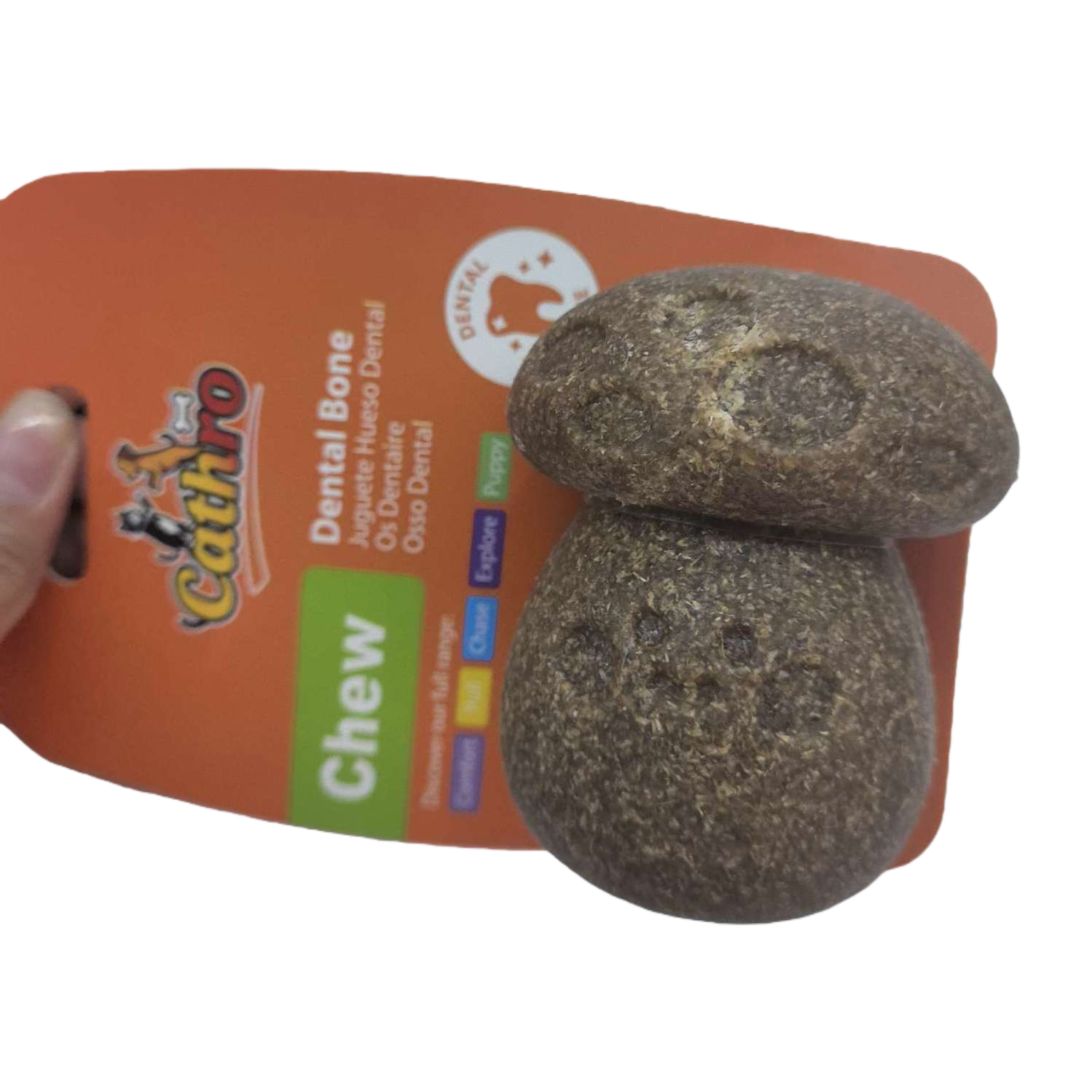 يُطعم الفطر الصغير كلبا أليفا بمضغ الصمغ Item Picture