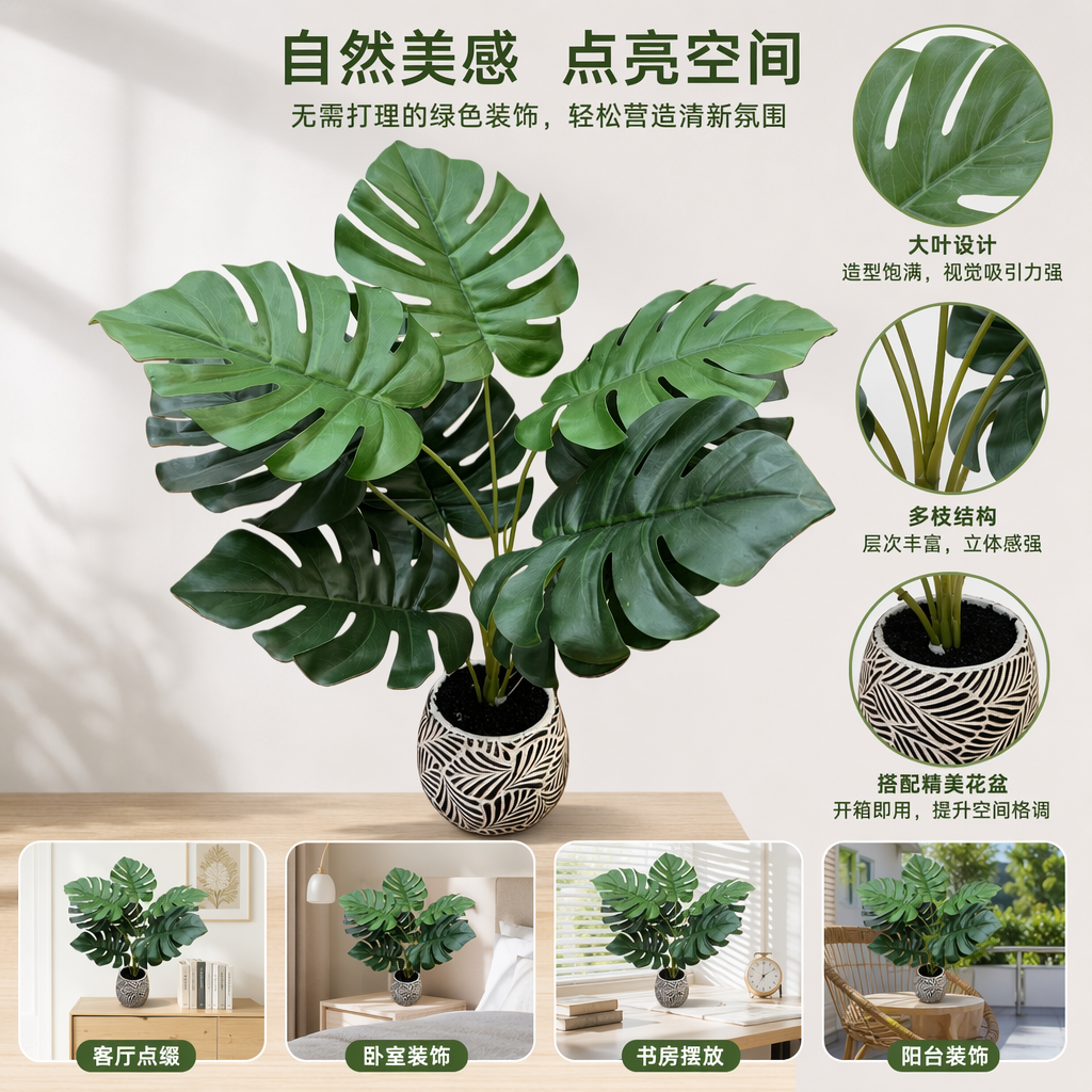 绿色龟背竹盆栽 室内观叶植物 15cm高 带盆带土可发货