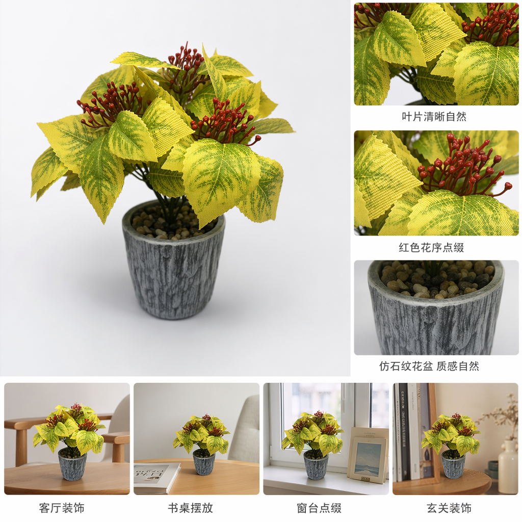 黄绿叶红花盆栽室内观叶植物客厅阳台绿化装饰
