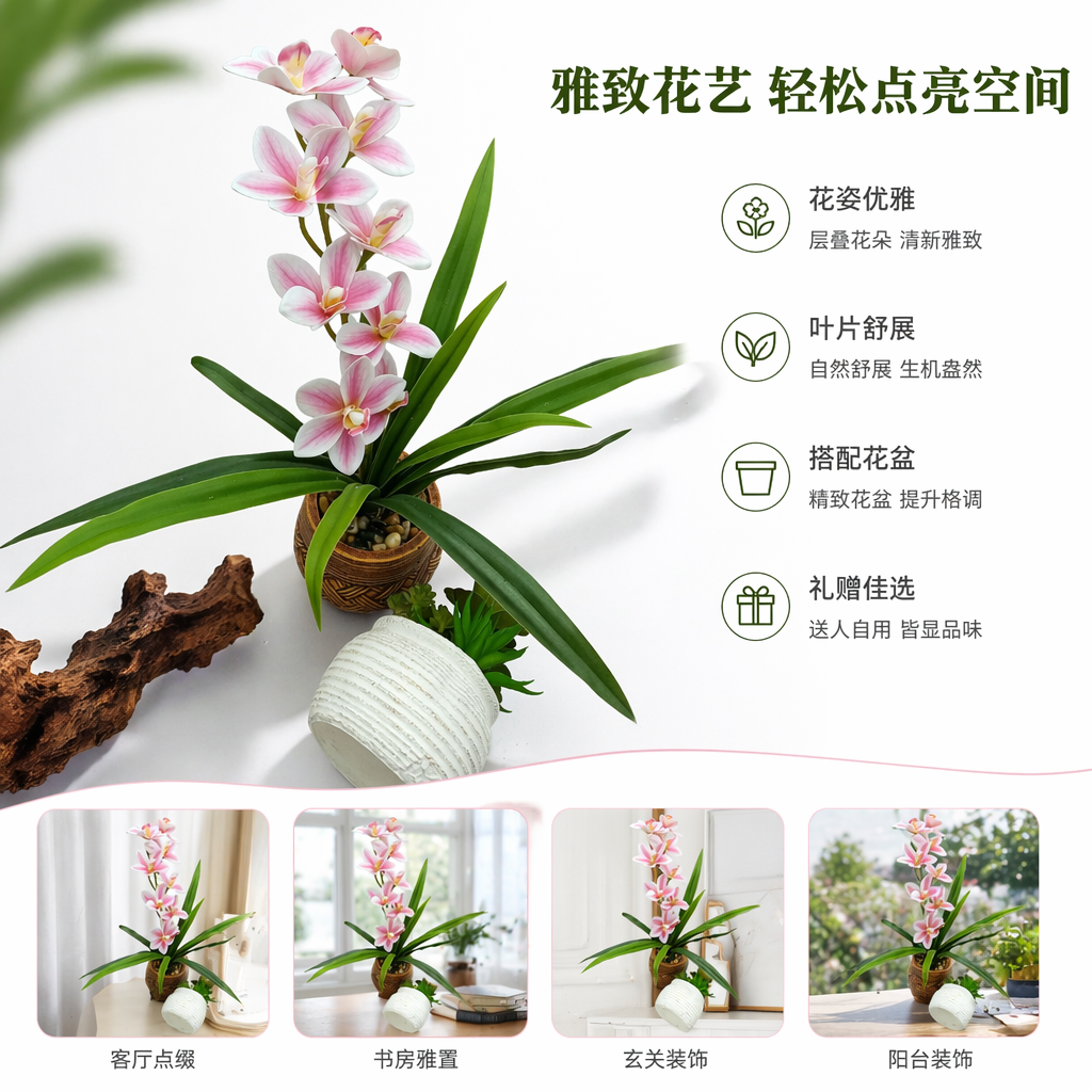 粉色兰花盆栽 室内观叶植物 花卉绿植 阳台客厅装饰