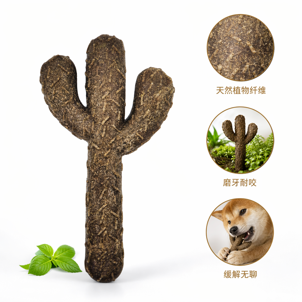 仙人掌诱食 植物大米纤维狗狗放心啃咬磨牙耐咬