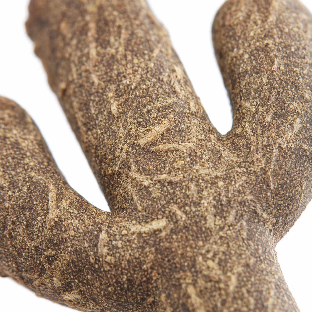 Cactus attracts plants, rice fibers, and dogs can gnaw on them with peace of mind, grinding their teeth and being more resilient Application Scenario