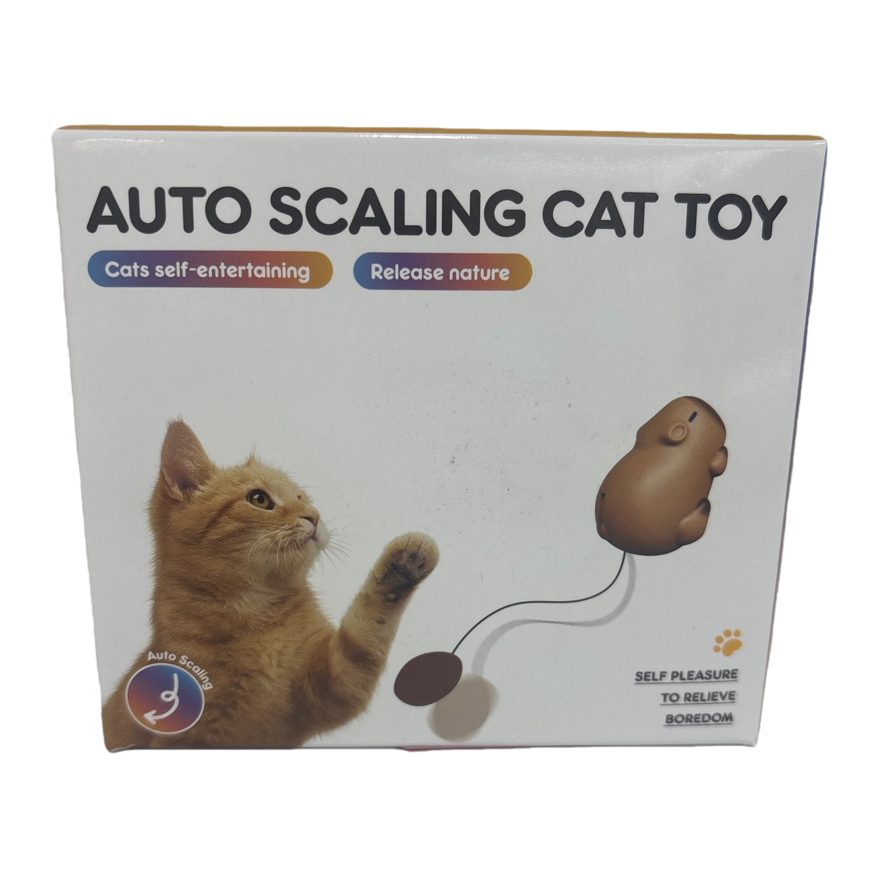 自动滚动逗猫卡皮巴拉猫玩具猫咪互动益智逗猫玩具 Item Picture