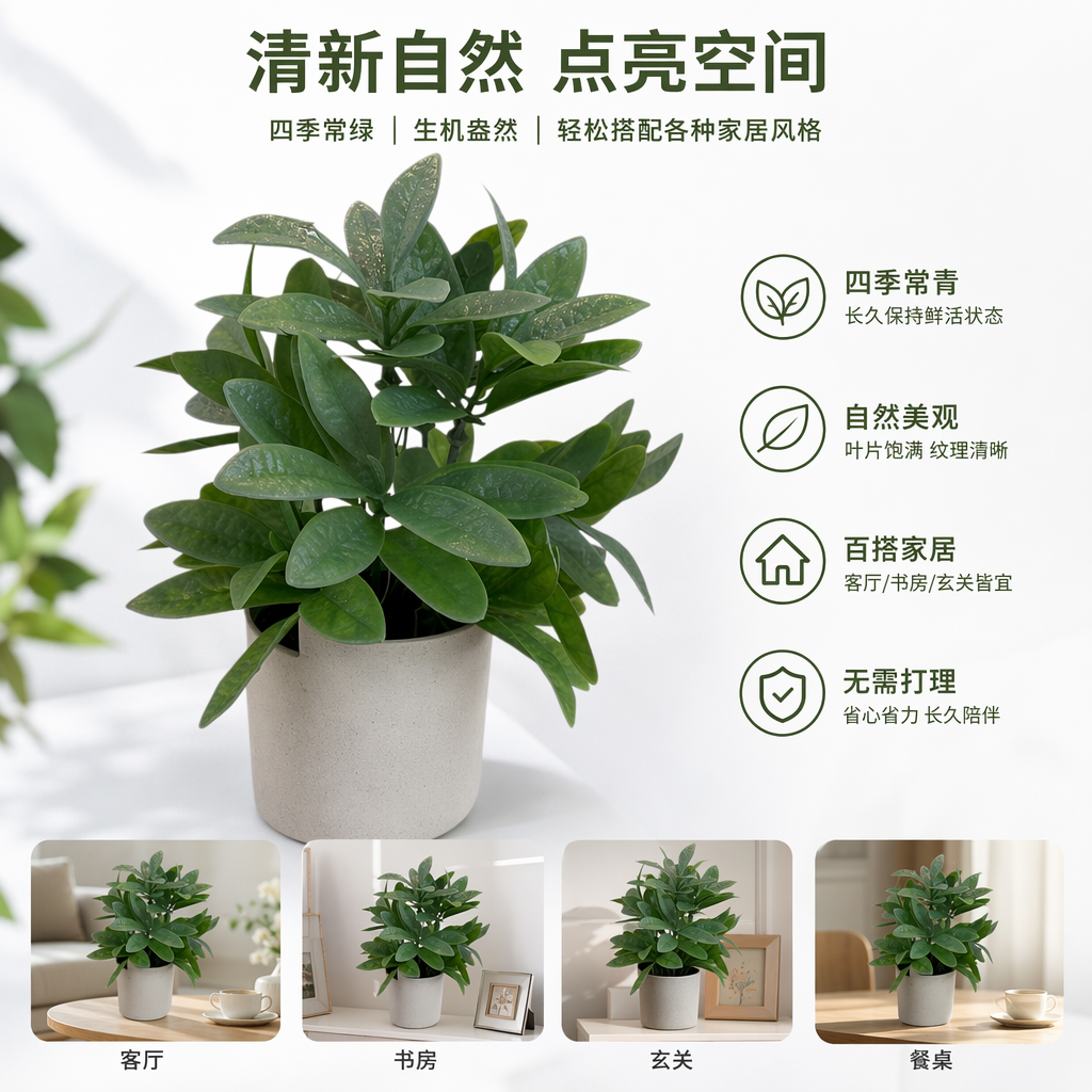 绿色植物盆栽室内观叶绿植小盆景阳台装饰多肉组合